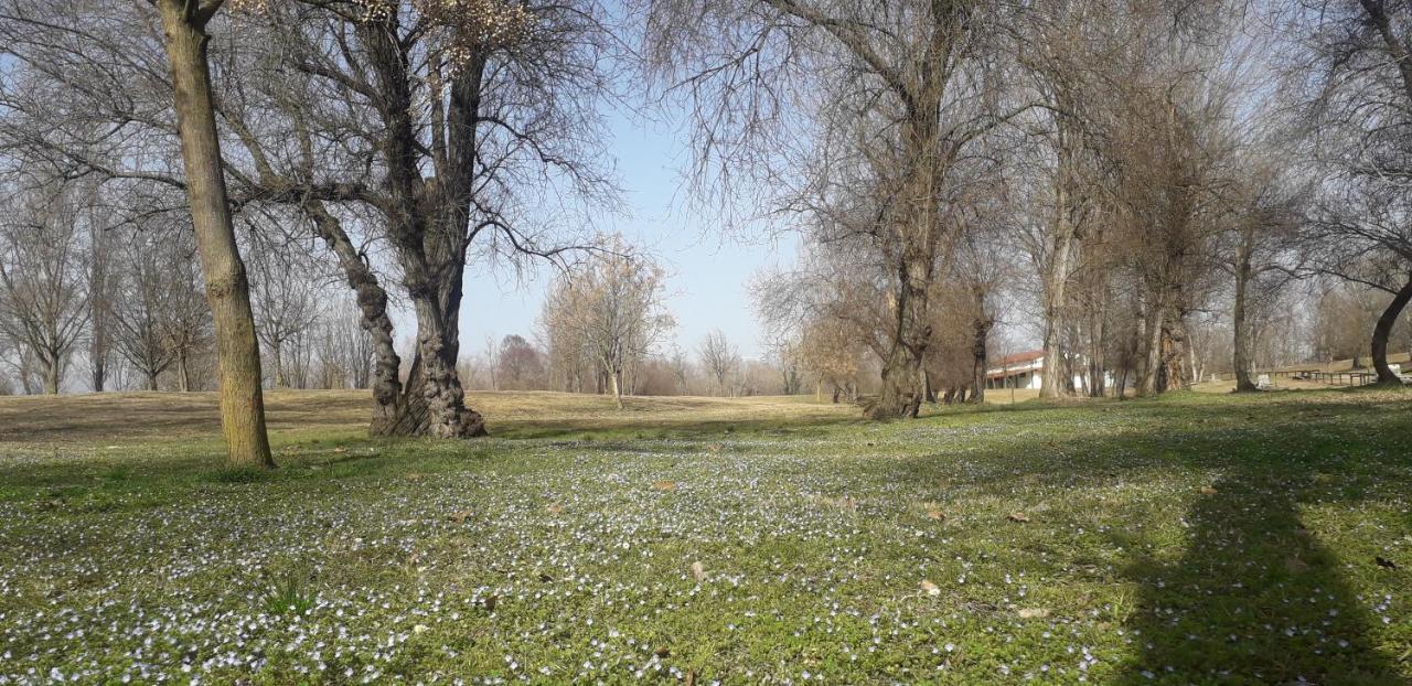 Willa Casa Nicole 1 Mussolente Zewnętrze zdjęcie